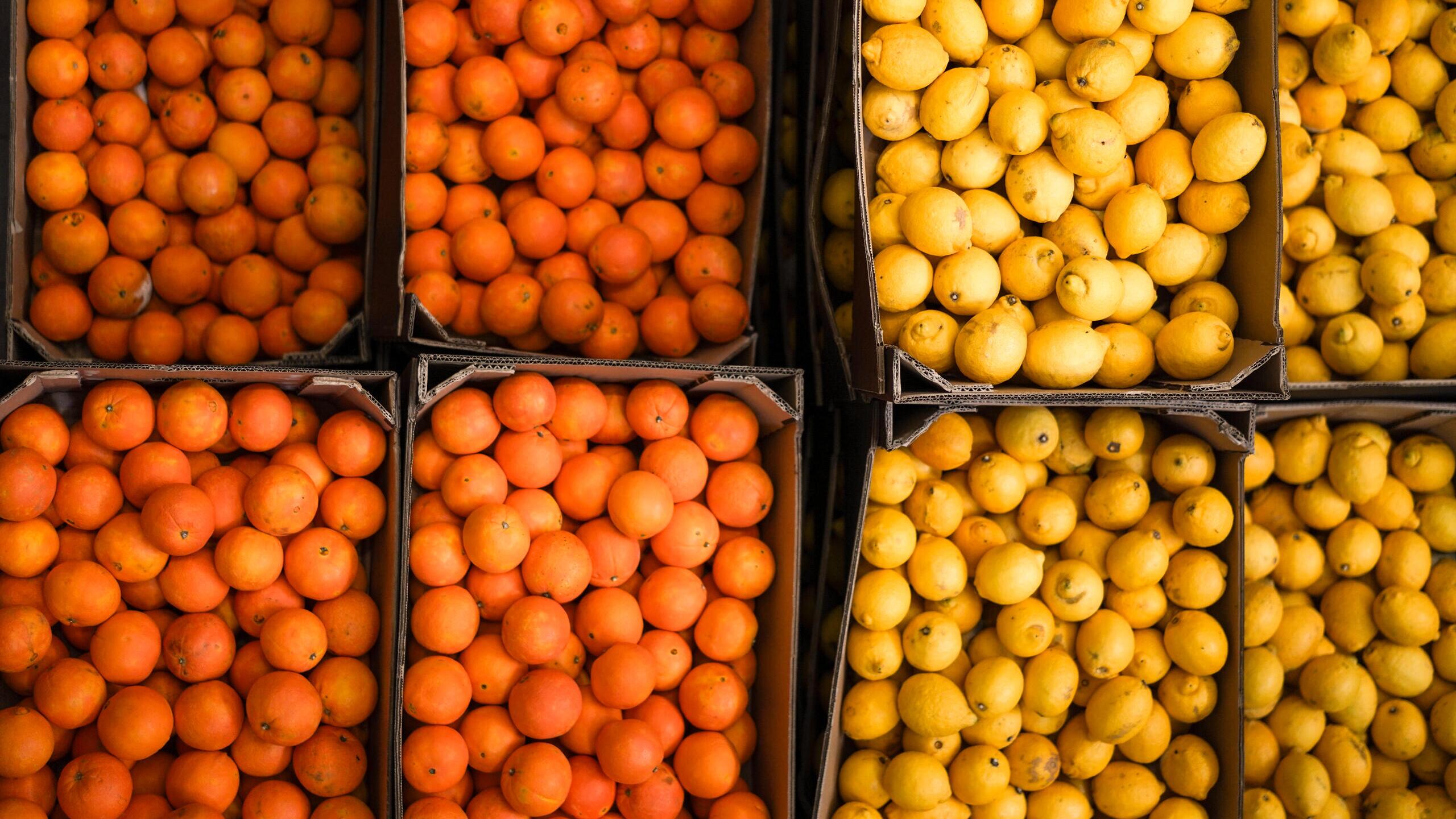 Needle Gin Herstellung 1