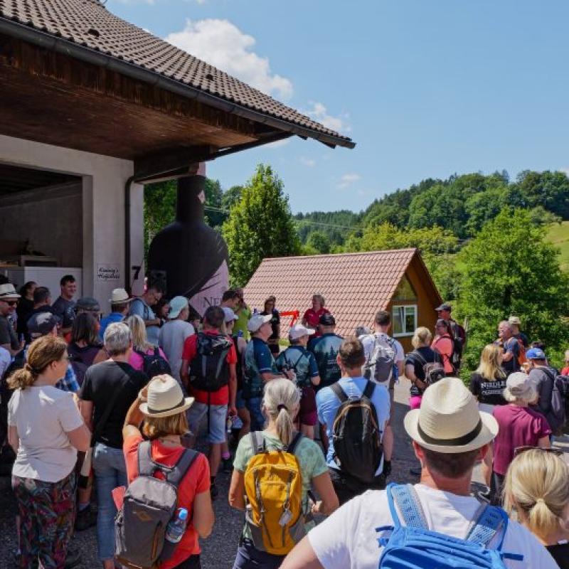 Needle Gin Pfad Eroeffnung 25 540x960