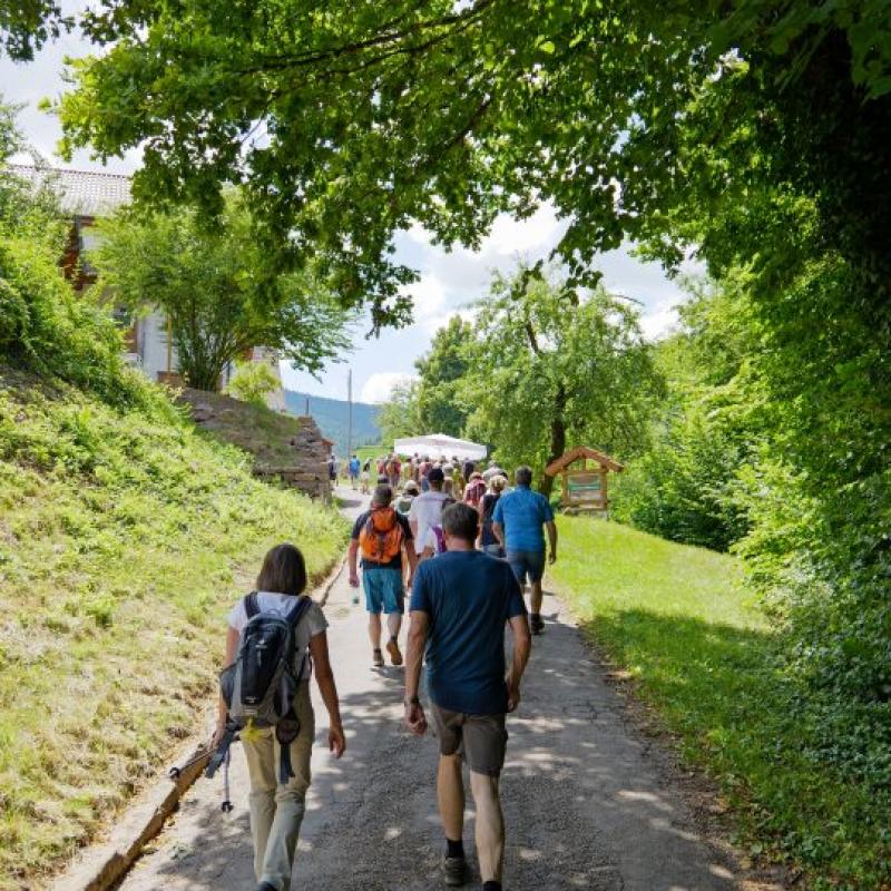 Needle Gin Pfad Eroeffnung 32 540x960