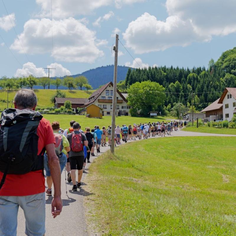 Needle Gin Pfad Eroeffnung 34 1280x853