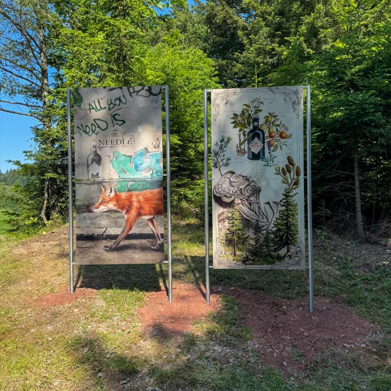 Neeedle Gin Pfad Wandern Lisa (1 von 1) 4