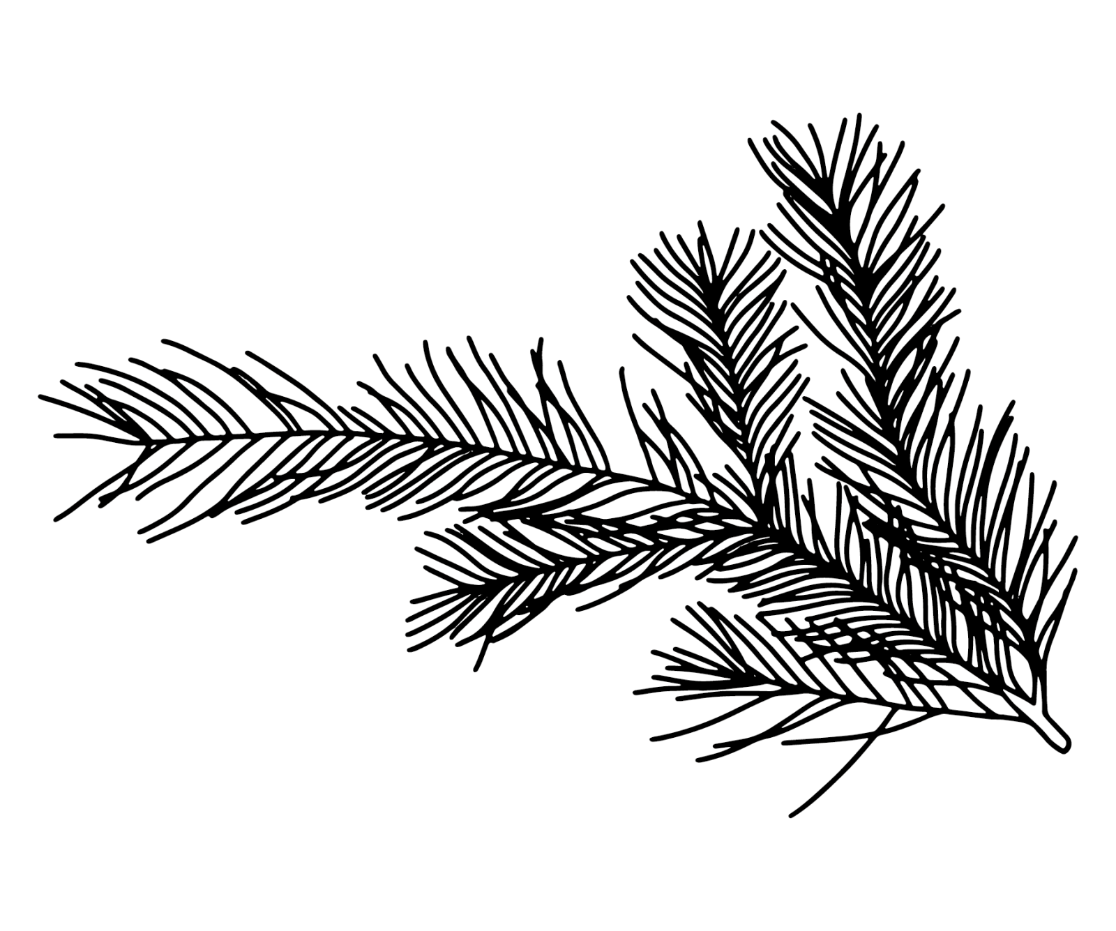 Vectordateien Needle Fichtenzweig01 Sticker